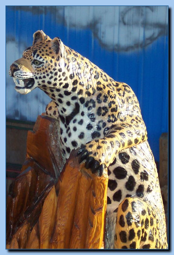 2-07 leopards-archive-0010